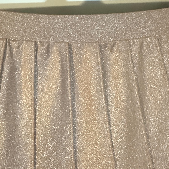 INC International Concepts Shimmering tan A-Line Skirt. Size S - Picture 4 of 6